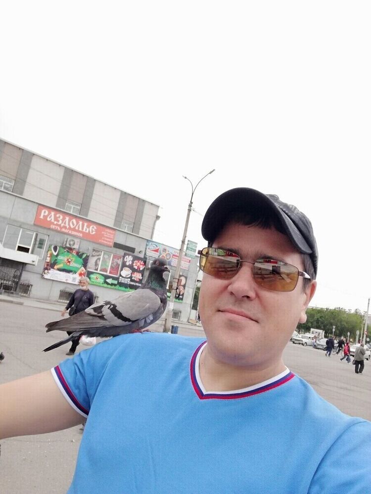  20895347  , 40 ,    