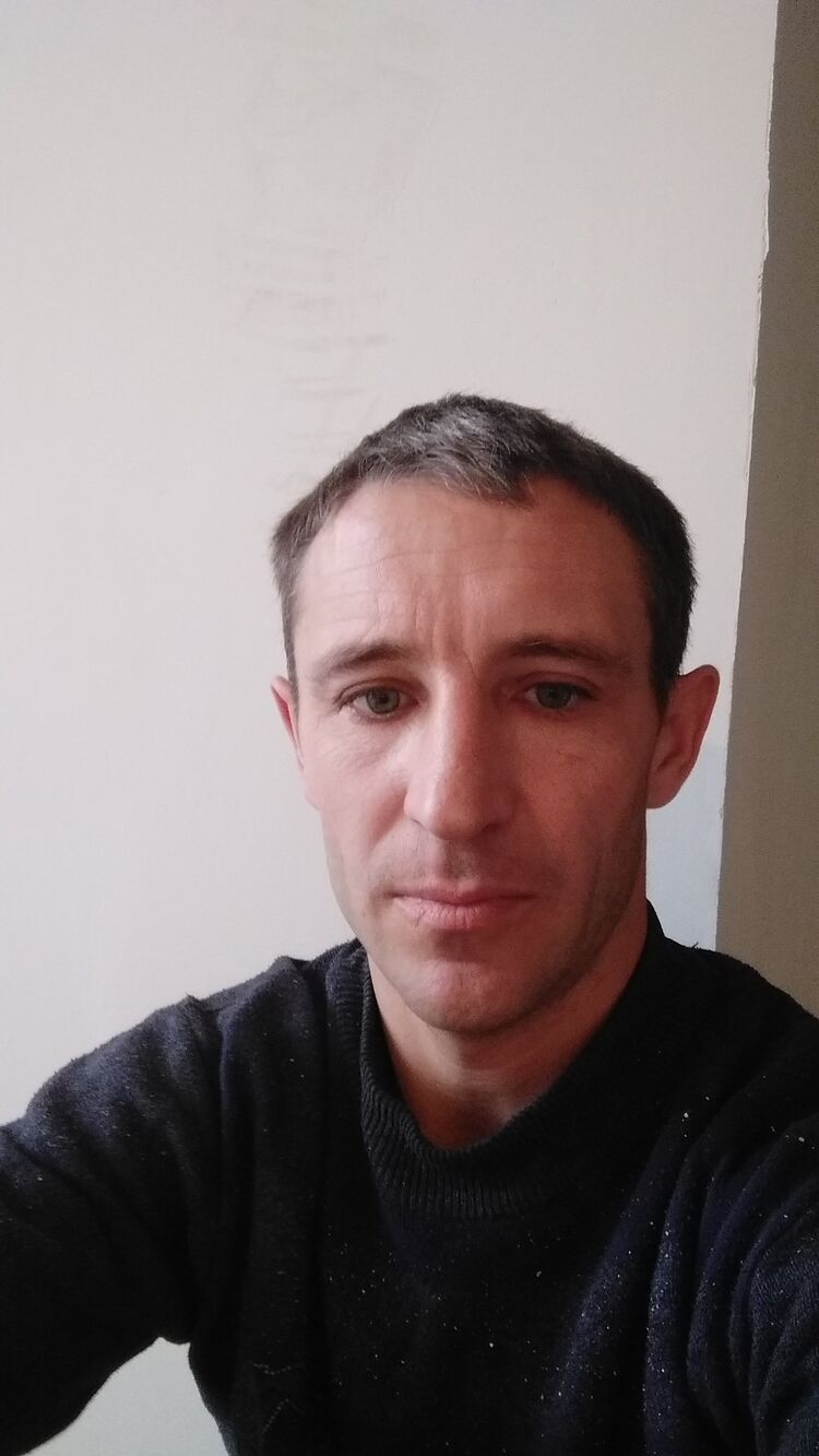  31764437   , 37 ,    