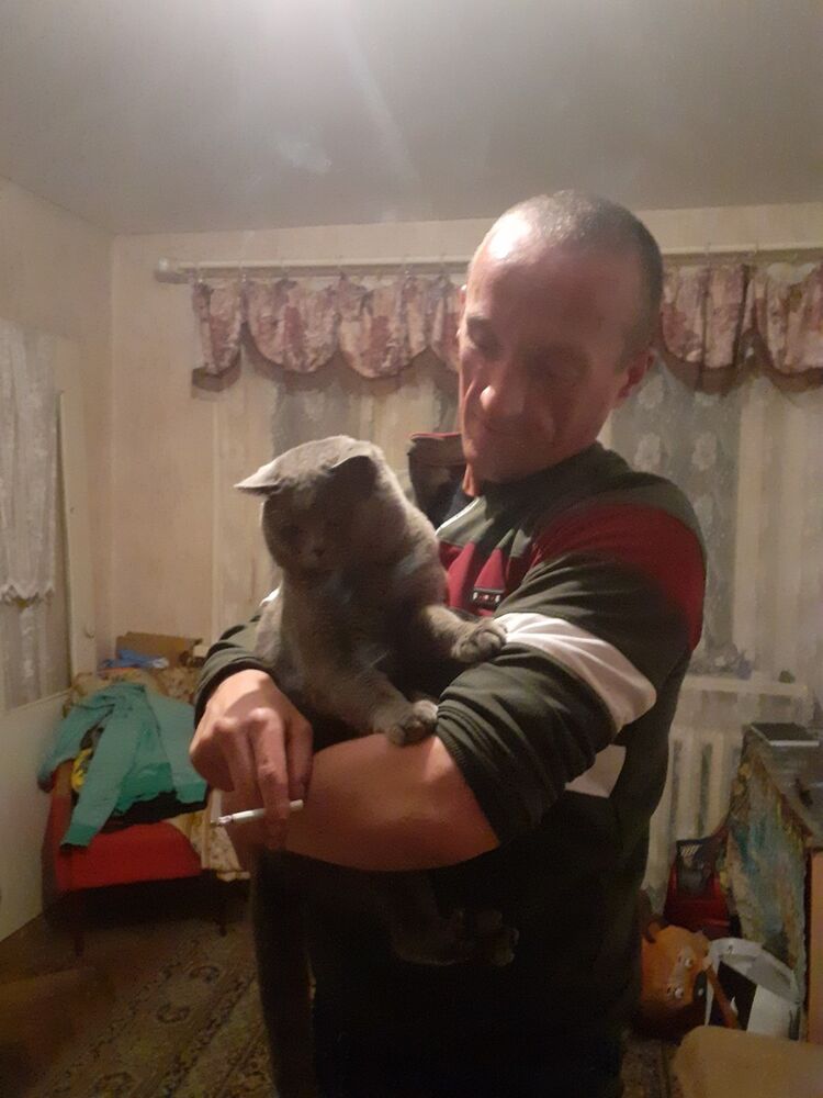 ���� 17427677 ������� �������, 46 ���, ���� ���������� � ������