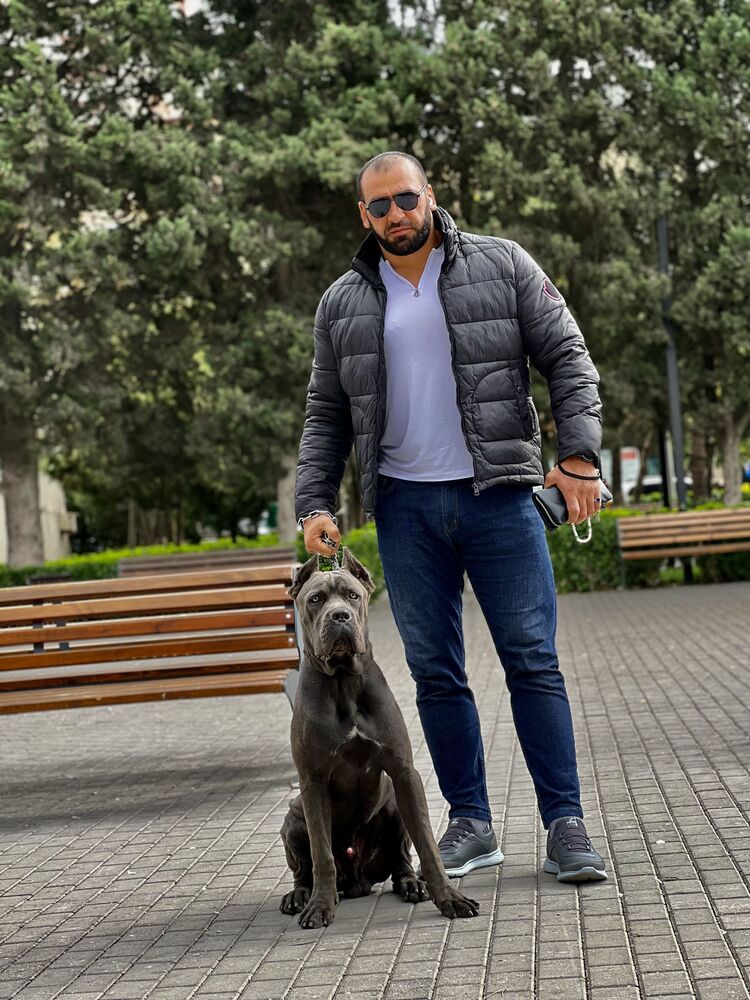 ���� 34153407 ������� ������, 39 ���, ���� ���������� � �����-����������