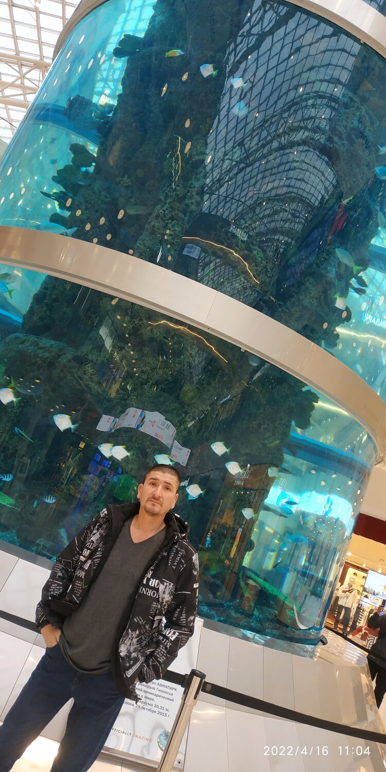 ���������� ������, ���� ������� ����, 44 ����, ������������ ��� ������, ����� � ���������