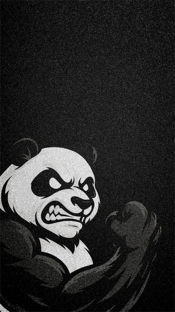 ���� 52600247 ������� �����, 31 ���, ���� ���������� � ����