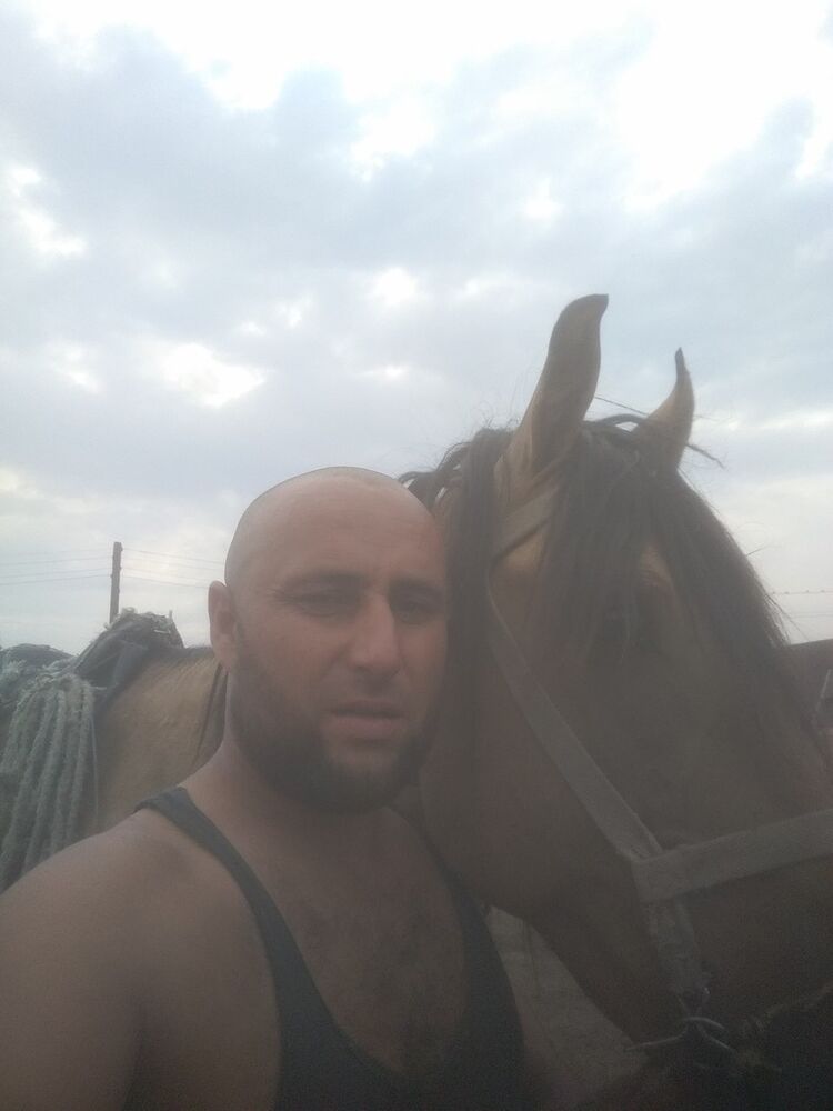 ���������� ���������, ���� ������� Nazar, 40 ���, ������������ ��� ������, ����� � ���������, c�������� ���������