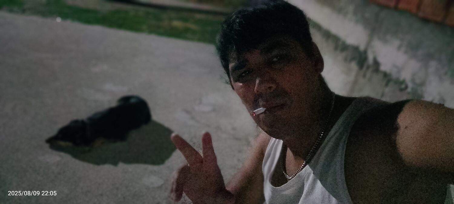  53044687  , 32 ,    