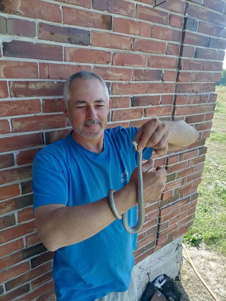 ���������� ������-��-����, ���� ������� ���������, 52 ����, ������������ ��� ������, ����� � ���������