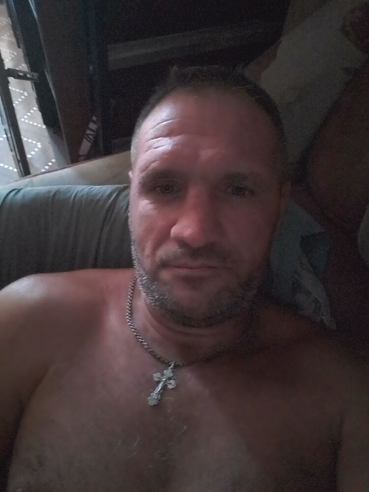  45887617  , 43 ,    