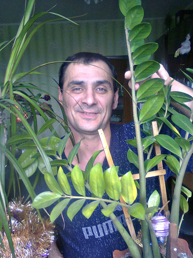 ���� 7708937 ������� ����, 52 ����, ���� ���������� � ������