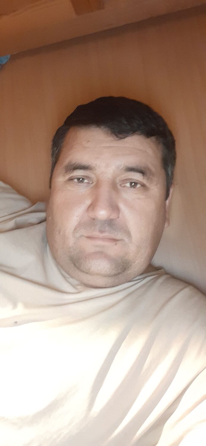  47849367  , 33 ,    