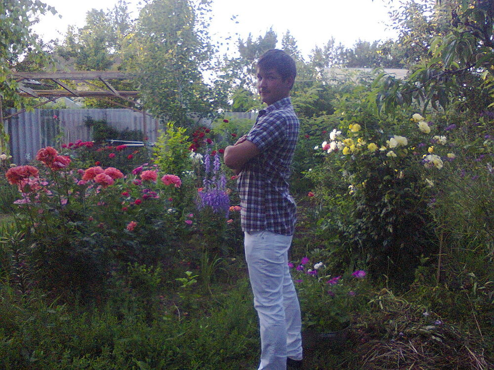  ,   , 38 ,   