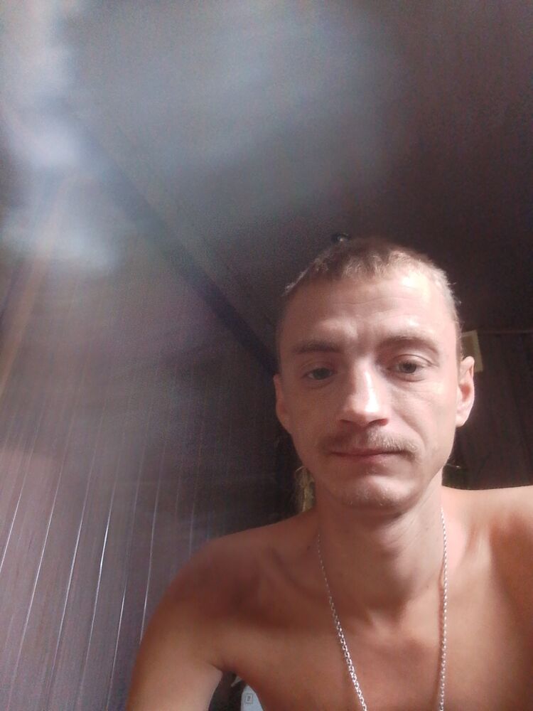  53382257  , 31 ,    