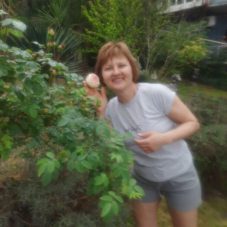  --,   , 51 ,   ,   