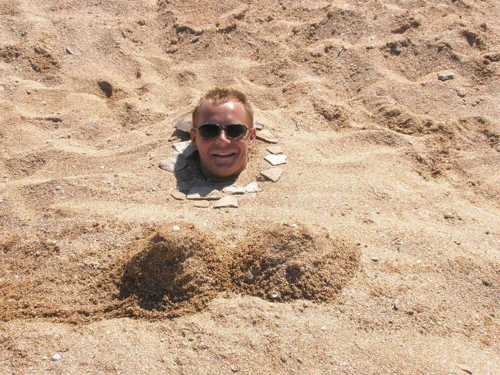 ���������� ������, ���� ������� ���������, 43 ����, ������������ ��� ������, ����� � ���������