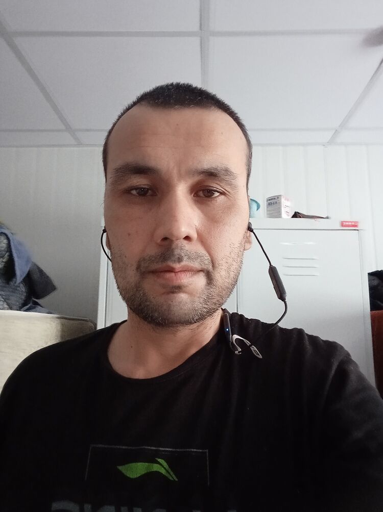  40272817  , 43 ,    