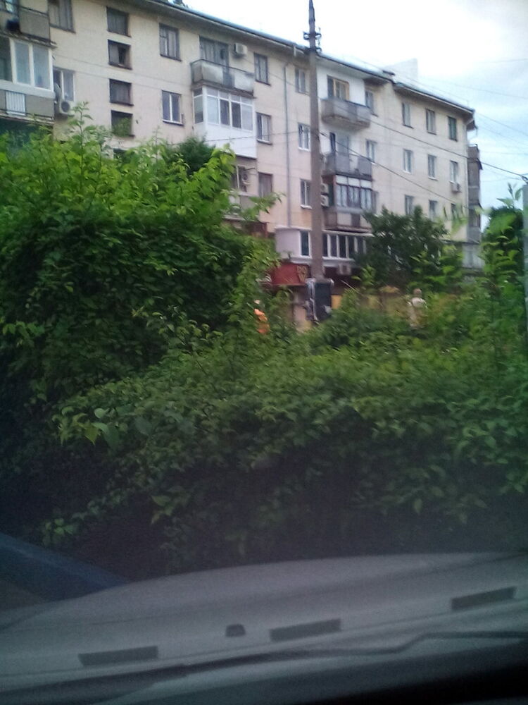  6817107  , 46 ,    