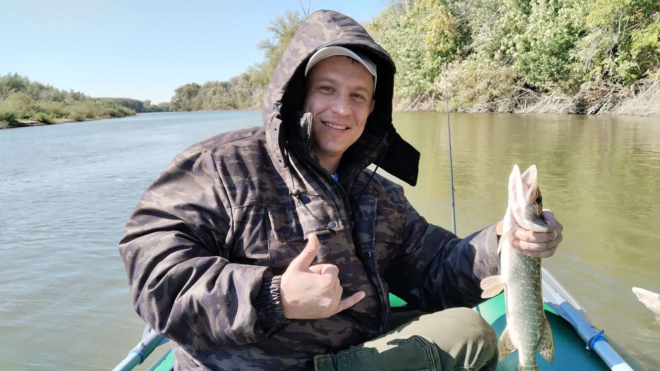 ���� 56192667 ������� �������, 37 ���, ���� ���������� � ����������