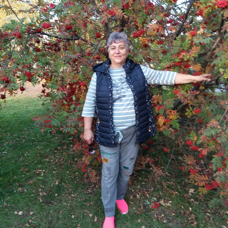  ,   , 65 ,   c 