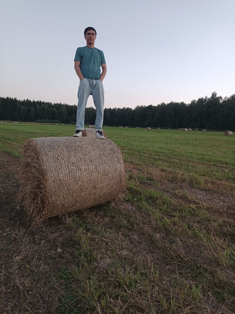  41063957  , 29 ,    
