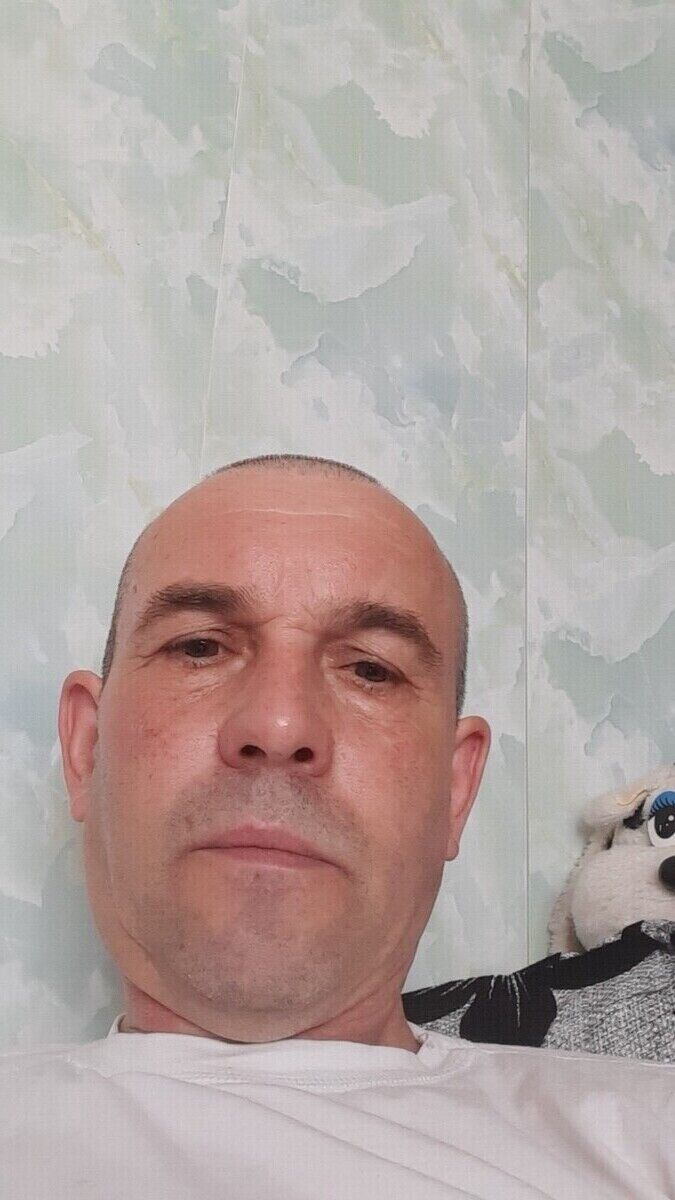 20375677  , 58 ,    