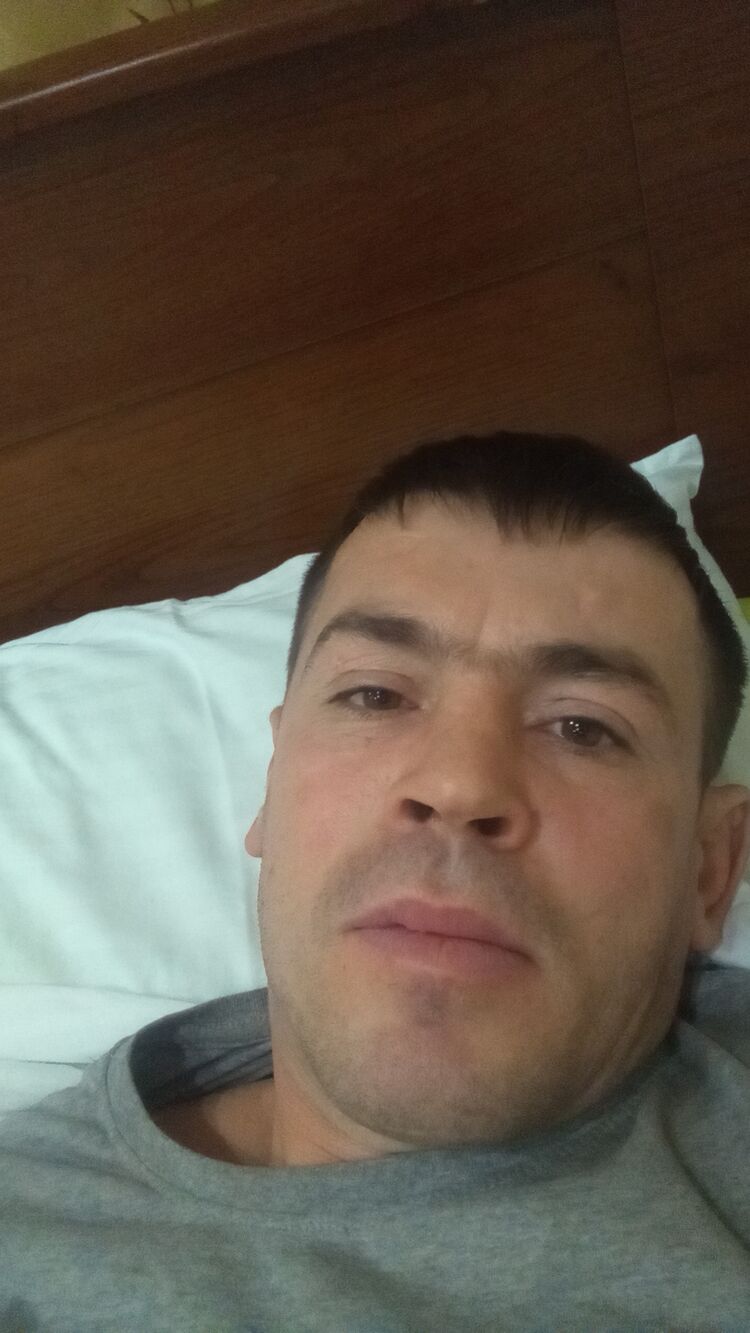  31566137  , 39 ,    