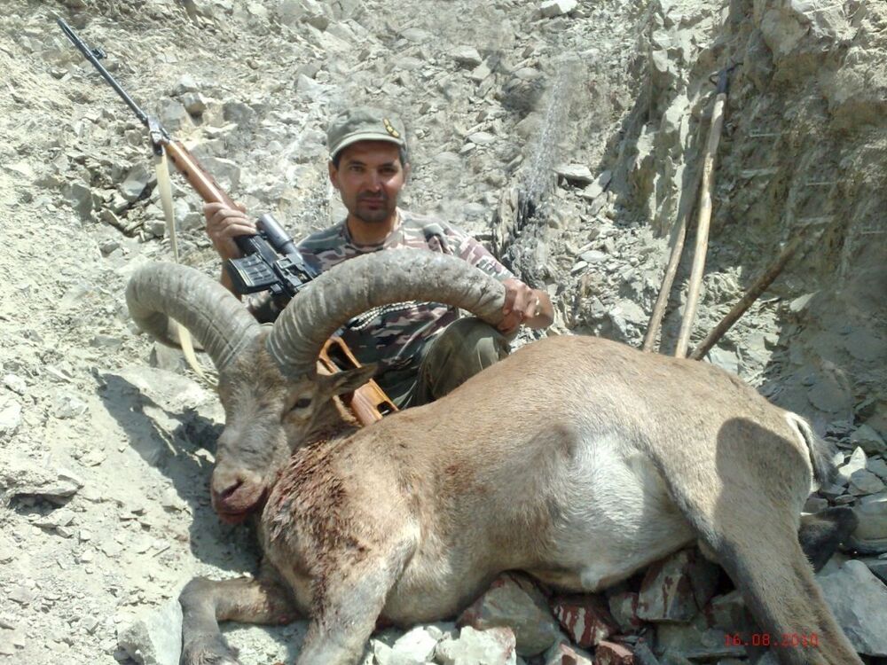  9307147  HUNTER444, 46 ,    