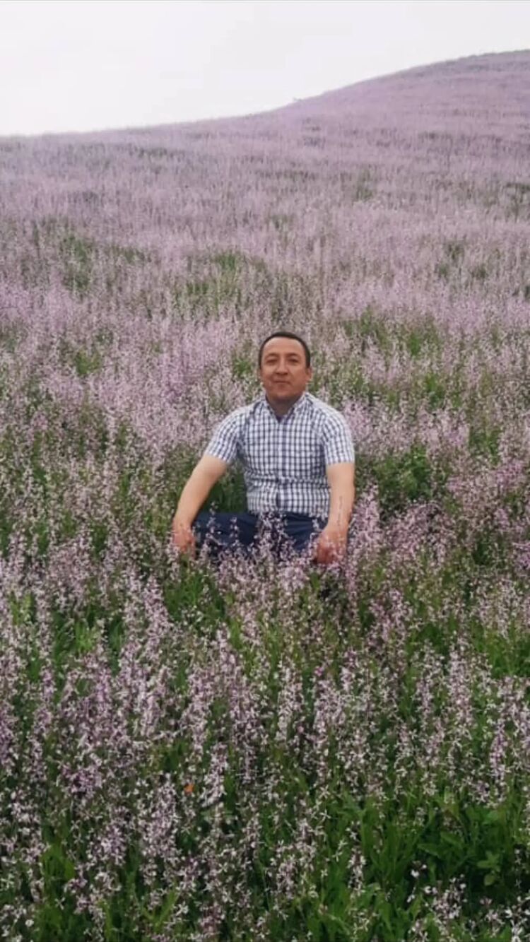 ���������� ������, ���� ������� ��������, 48 ���, ������������ ��� ������, ����� � ���������