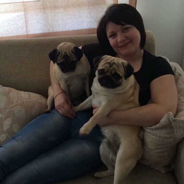 ���������� ������������, ���� ������� �������, 45 ���, ������������ ��� ������, ����� � ���������, c�������� ���������