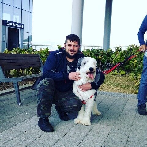 ���������� ���������, ���� ������� ����, 39 ���, ������������ ��� ������, ����� � ���������, c�������� ���������