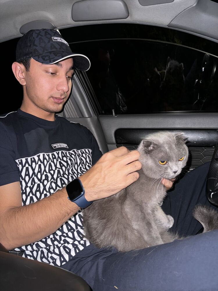 ���������� �������, ���� ������� �����, 27 ���, ������������ ��� ������, ����� � ���������