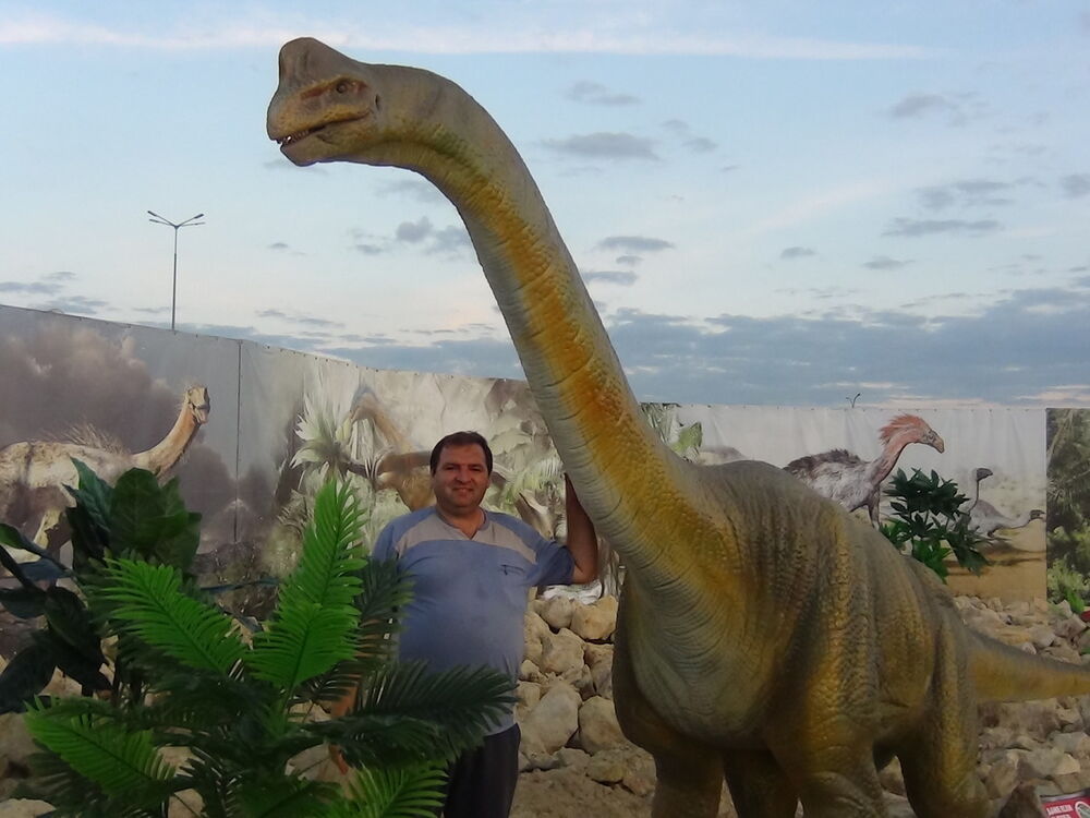 ���� 7737417 ������� �����, 46 ���, ���� ���������� � ������