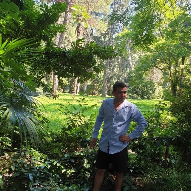 ���� 27241627 ������� ������, 33 ����, ���� ���������� � �������-��-����