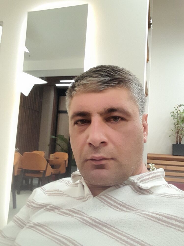  53548857  , 43 ,    