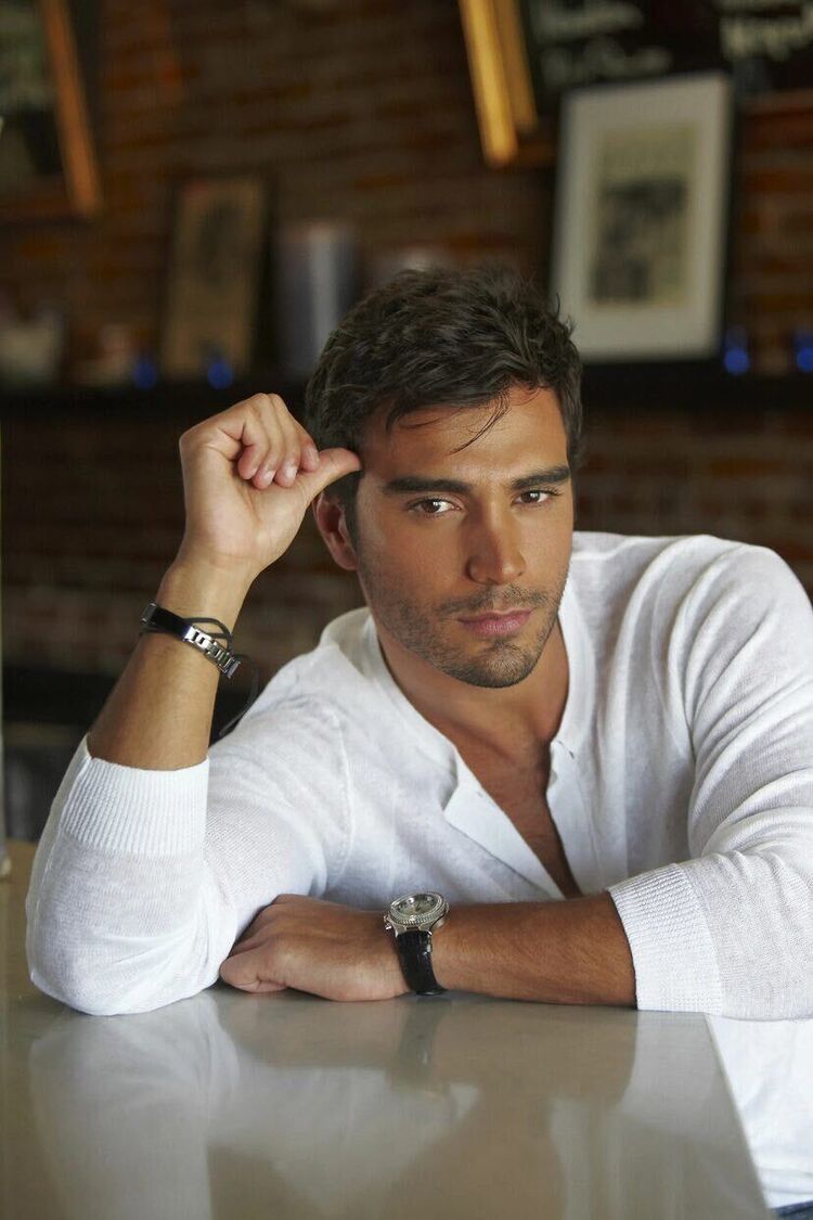 ���� 31095547 ������� ���������, 33 ����, ���� ���������� � ����