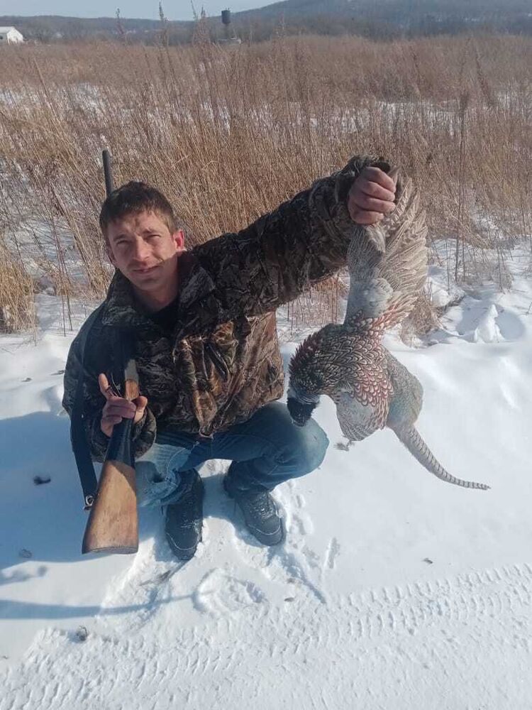  23566077  , 40 ,    -