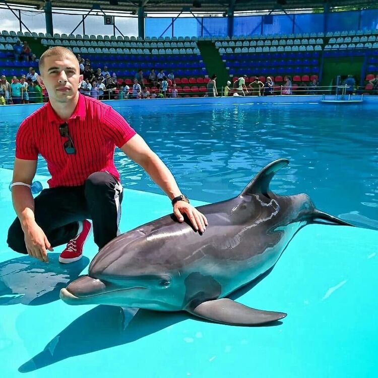 ���� 37826577 ������� �������, 31 ���, ���� ���������� � ����������