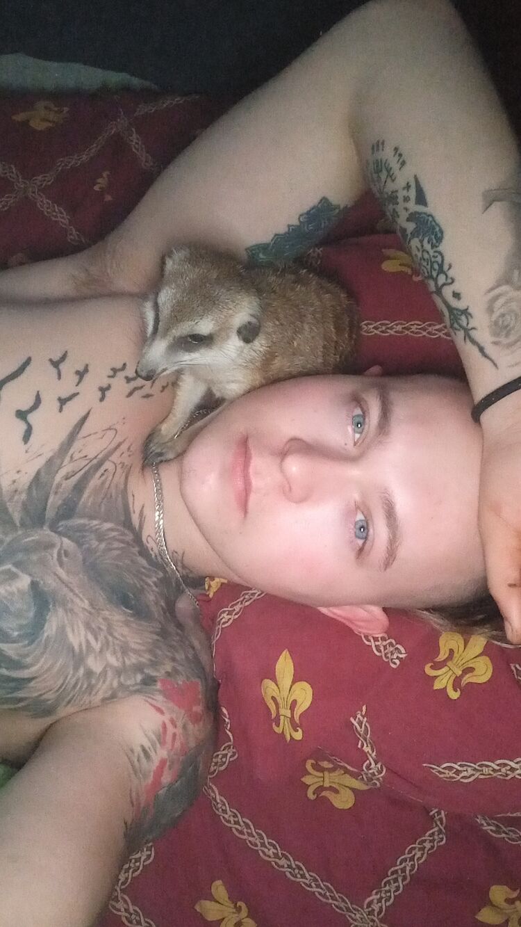 ���� 25815807 ������� ������, 26 ���, ���� ���������� � �������