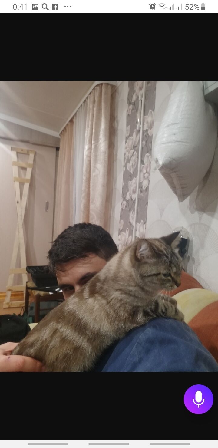  ,   , 32 ,   ,   , 