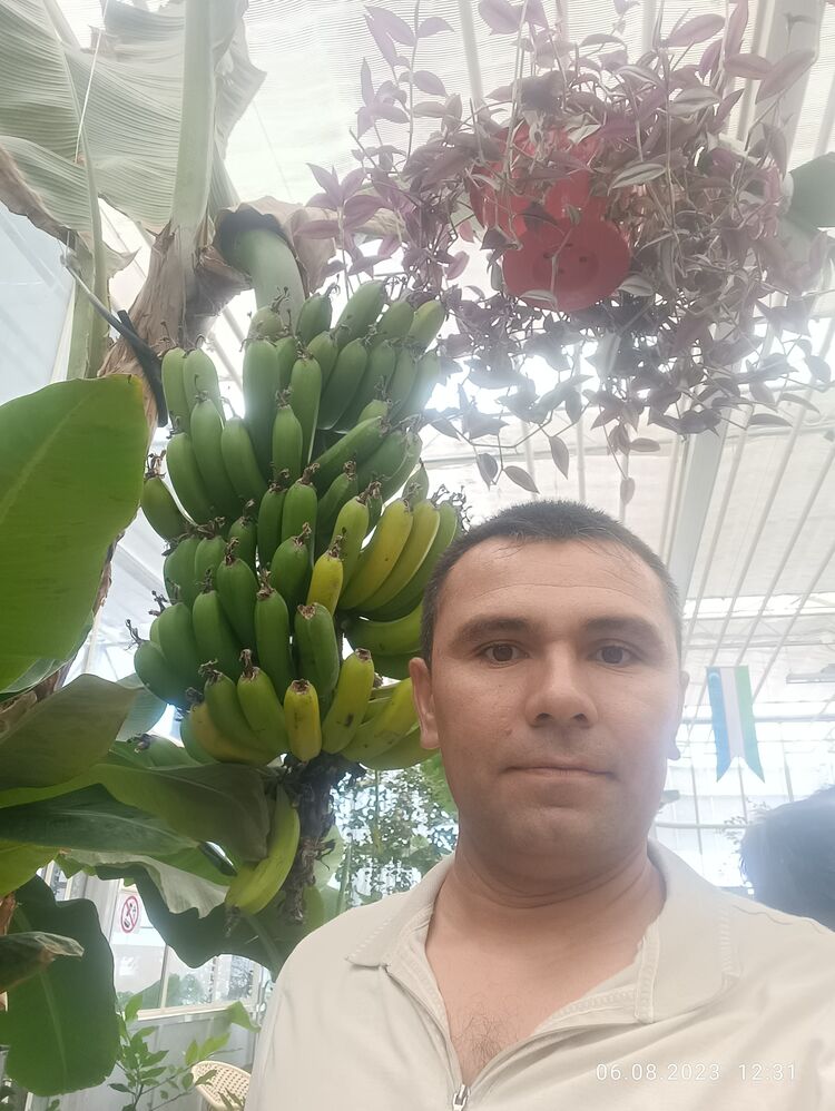  ,   , 41 ,   ,   , 
