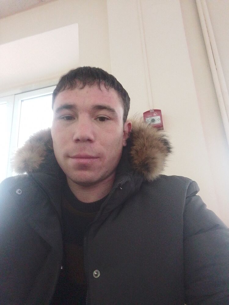  31412937  , 33 ,    