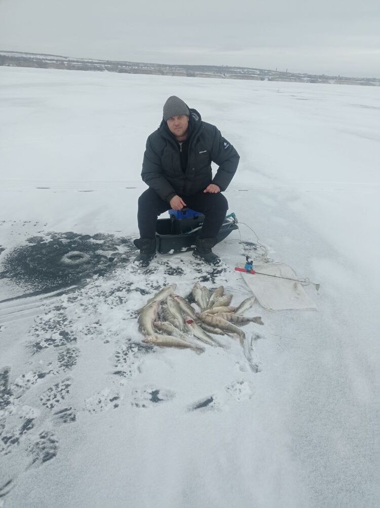 ���� 55703847 ������� ����, 39 ���, ���� ���������� � ��������������