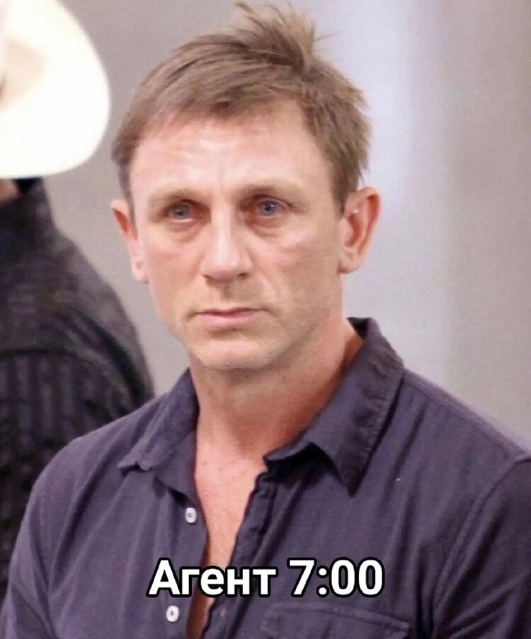  33801587  , 35 ,    