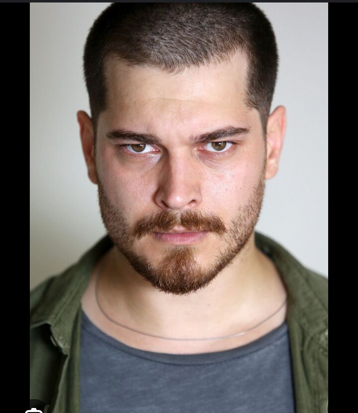 ���� 49975667 ������� �����, 33 ����, ���� ���������� � ������