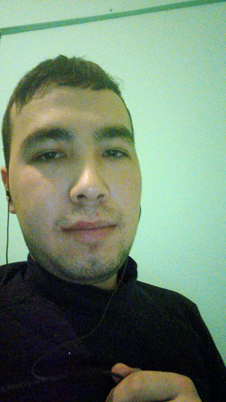  33658757  , 28 ,    -
