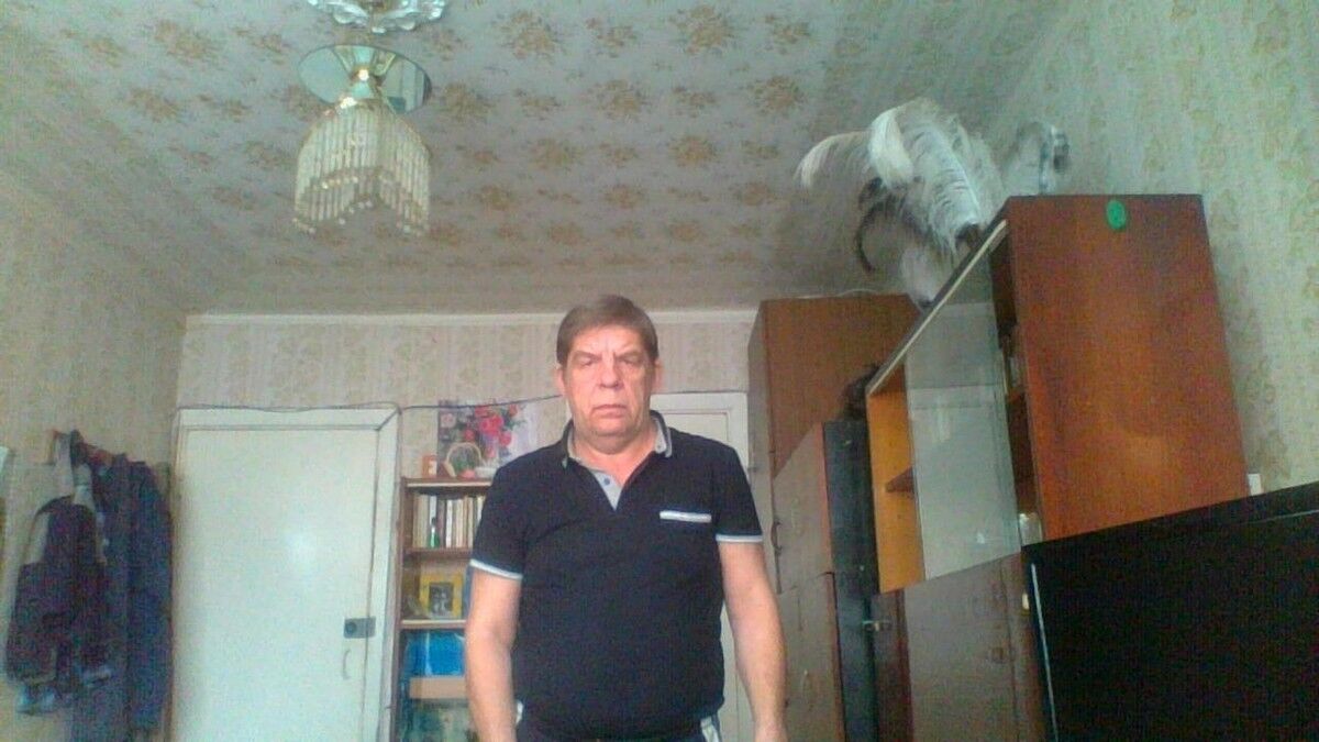  ,   , 61 ,   