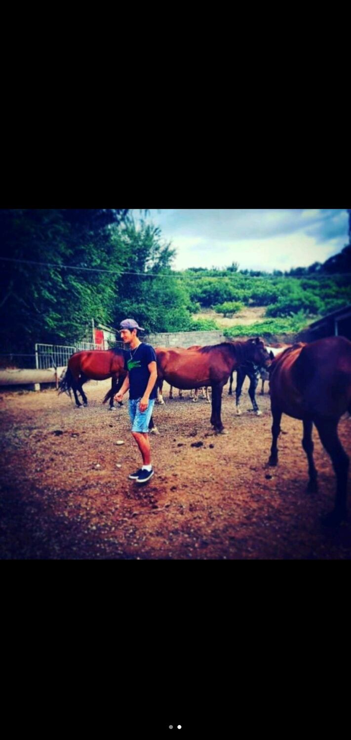 ���� 24647447 ������� Kai, 31 ���, ���� ���������� � �������