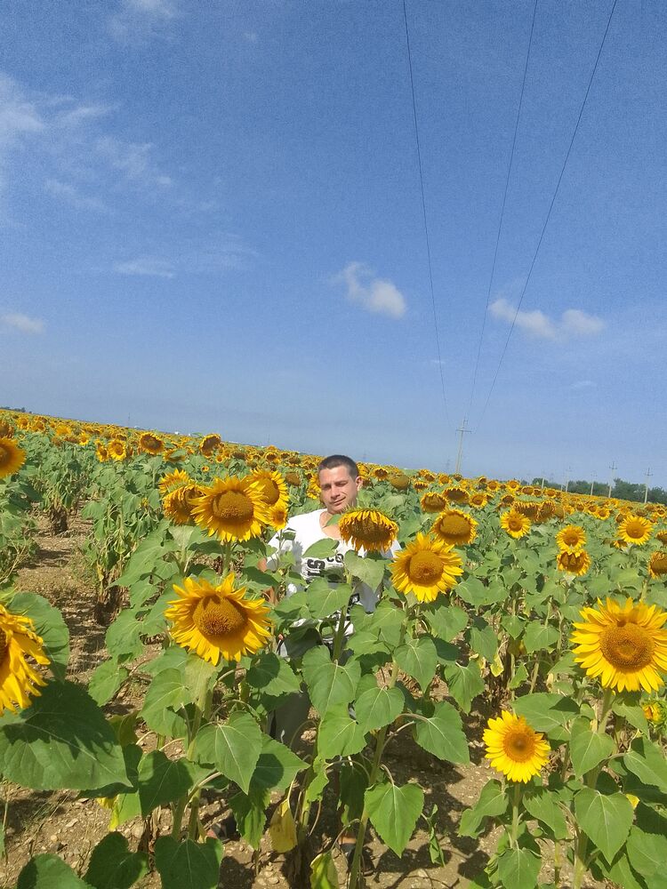  ,   Dmitry, 32 ,   ,   