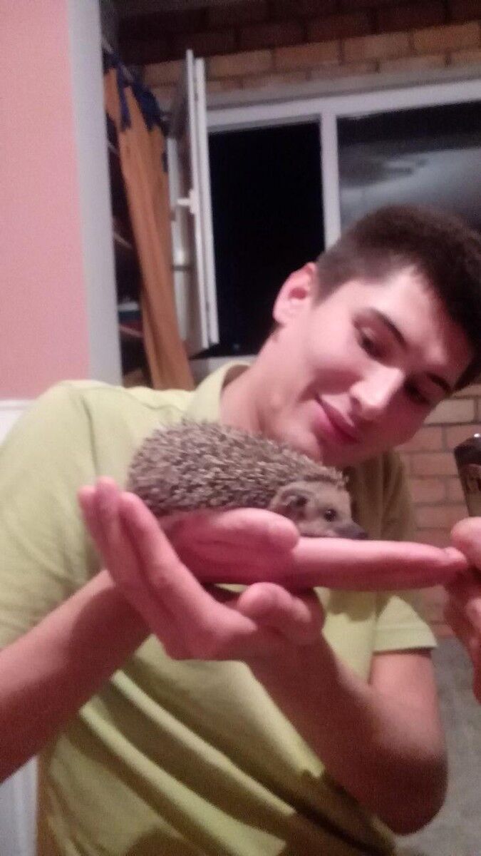 ���� 6977167 ������� �����, 35 ���, ���� ���������� � ��������