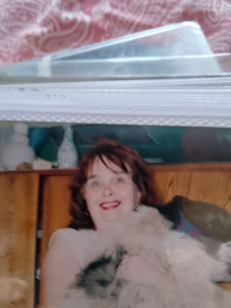  ,   , 66 ,   ,   , 