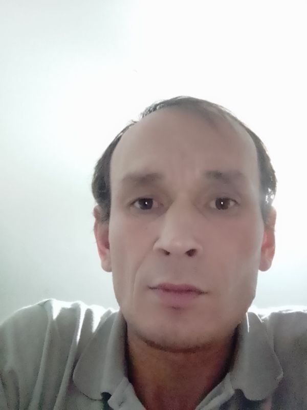  36508127  , 43 ,    -