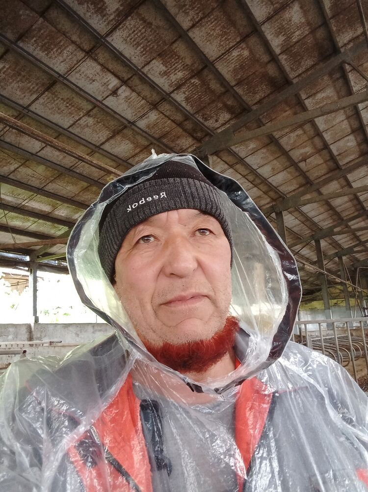  29142237  , 59 ,    