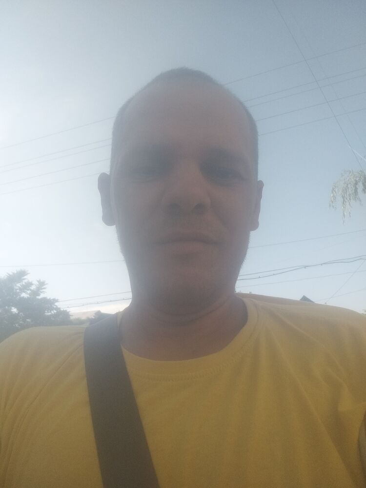  44334247  , 40 ,    